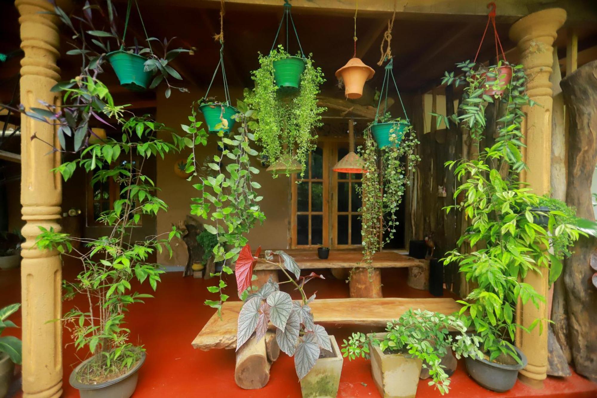 Dinna Nature Hostel Sigiriya Luaran gambar