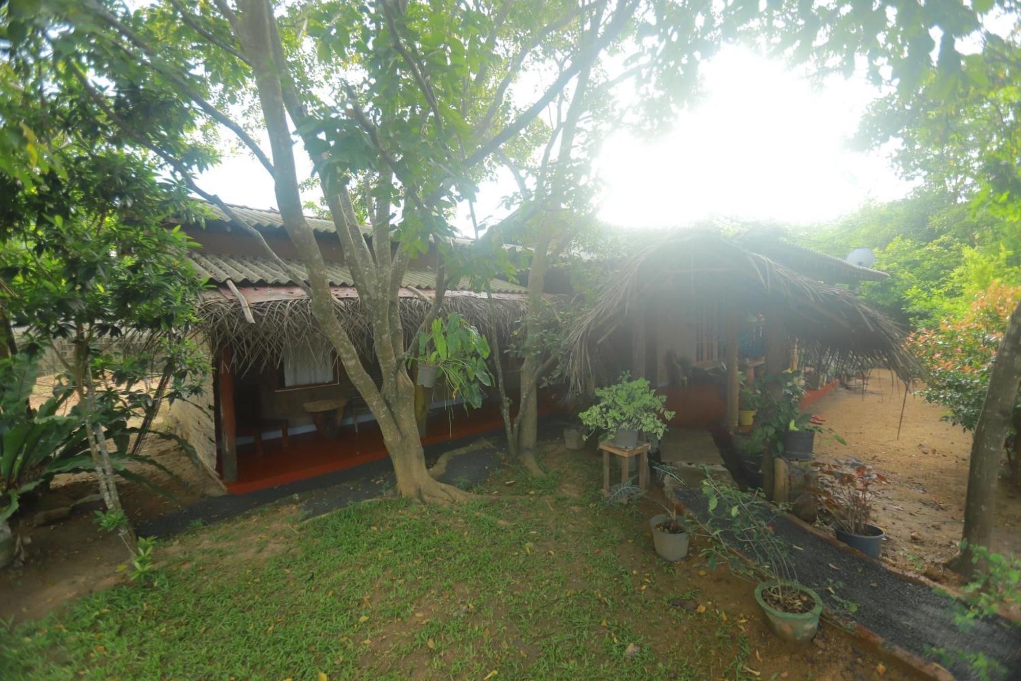 Dinna Nature Hostel Sigiriya Luaran gambar